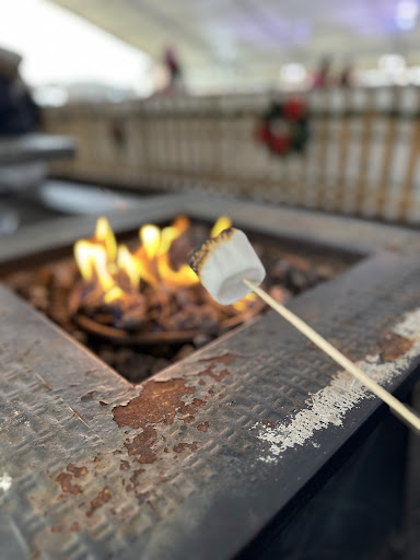 Photo from customer review